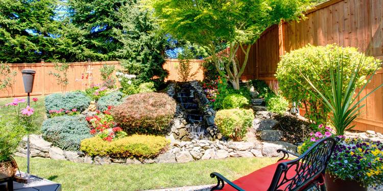 Backdraft Landscape Proven Tips for a Beautiful and Productive Landscape