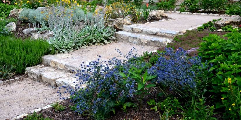 Limestoen Step How to Use the 70 30 Rule for a Balanced and Thriving Garden