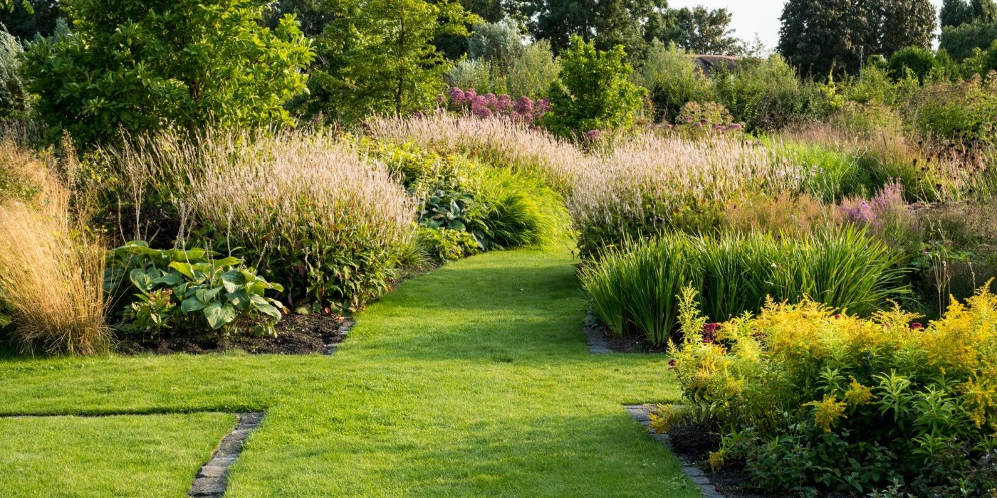 Discover Lush, Resilient Ecosystems through Dutch Wave Garden Artistry