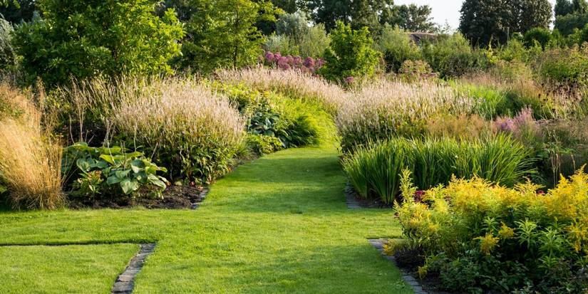 Discover Lush, Resilient Ecosystems through Dutch Wave Garden Artistry