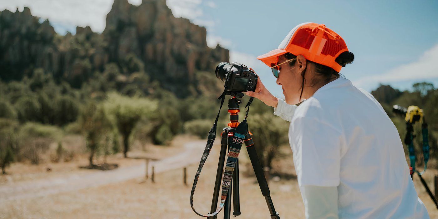 Capture Wildlife With Outdoor Video Surveillance in Your Backyard