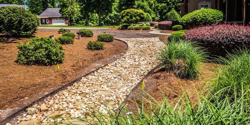 The Cheapest Way to Landscape Your Backyard Beautifully