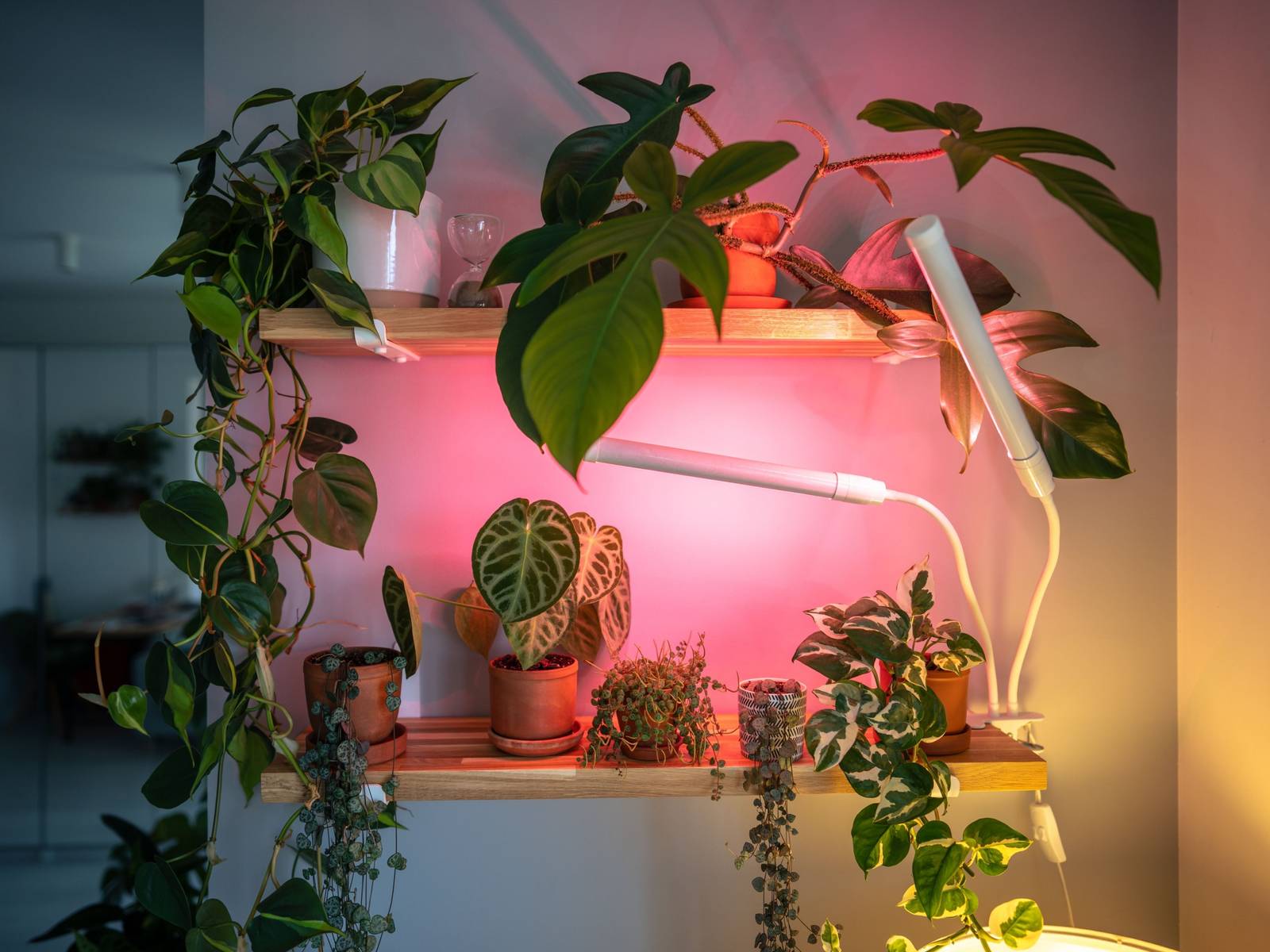 How Does Artificial Sunlight Work For Plants?