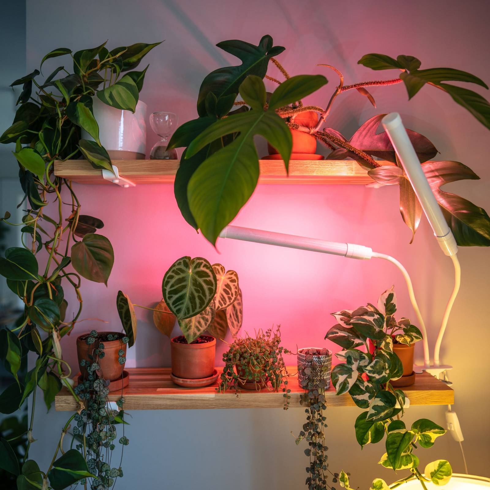 How Does Artificial Sunlight Work For Plants?
