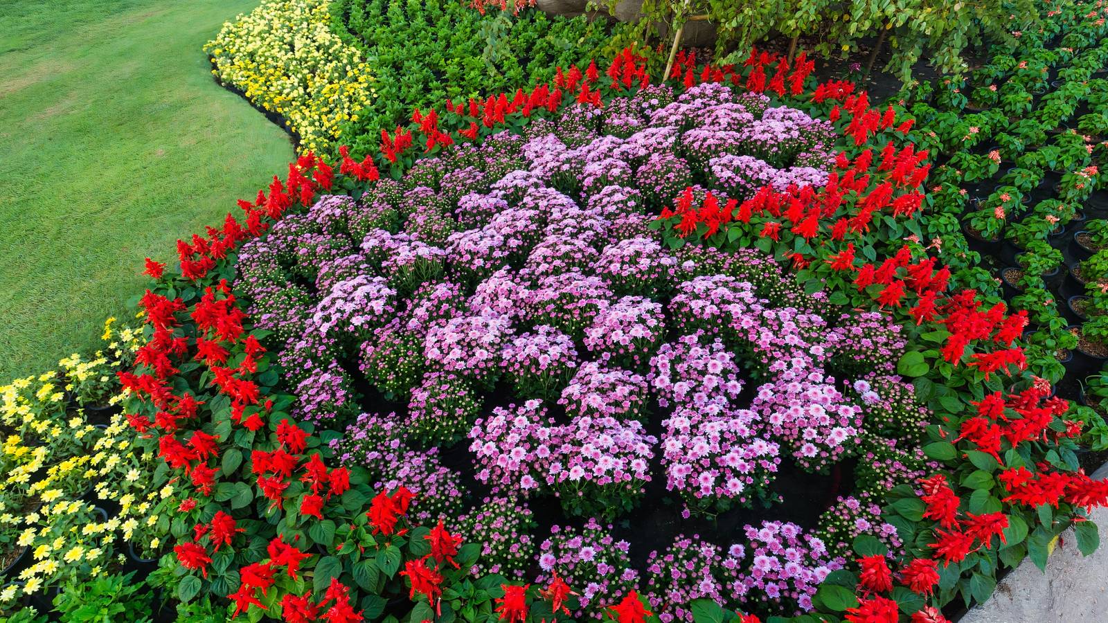 Design a Garden Masterpiece: Planting Flowers in Fun Shapes