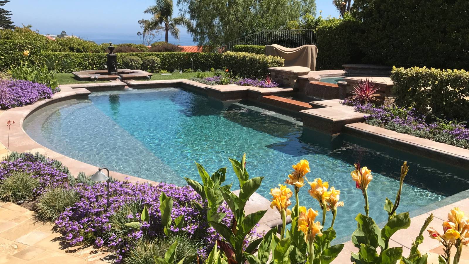 Pool Spring Bloom Top Chlorine-Resistant Plants for Stunning Poolside Gardens