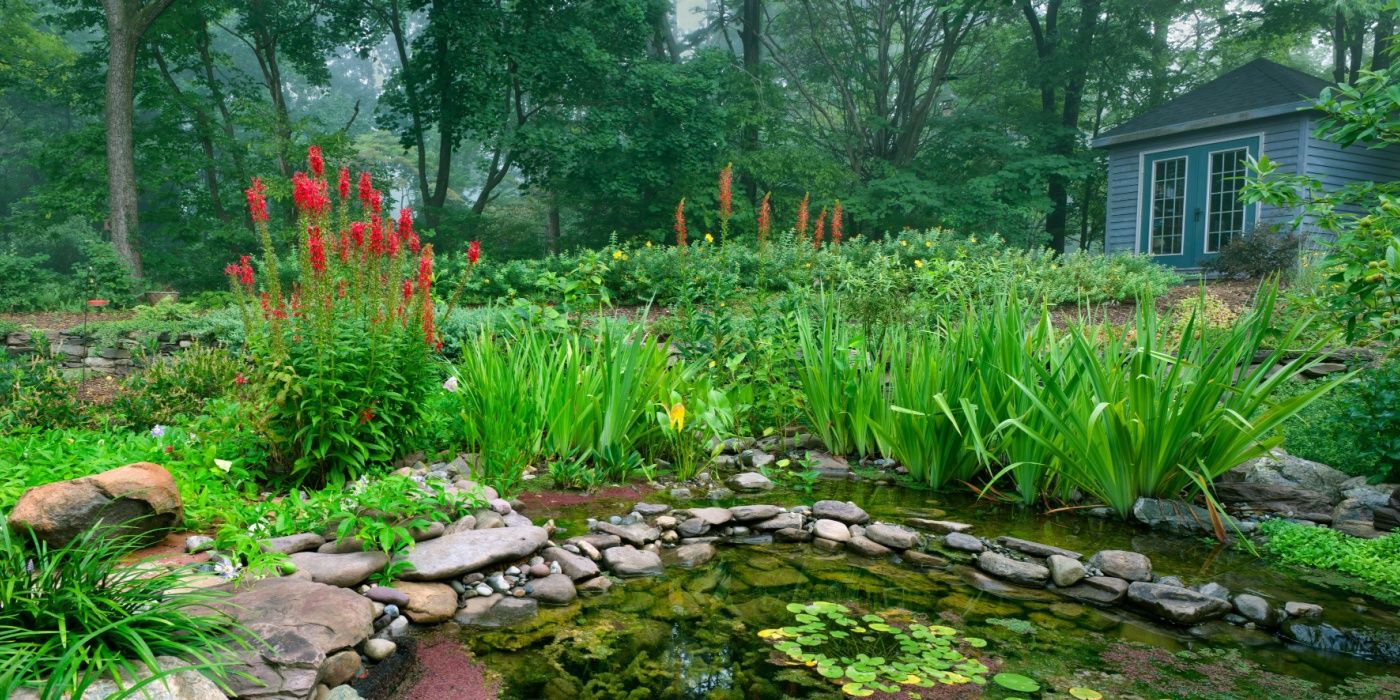 6 Ways to Create a Relaxed, Lived-In Backyard Garden