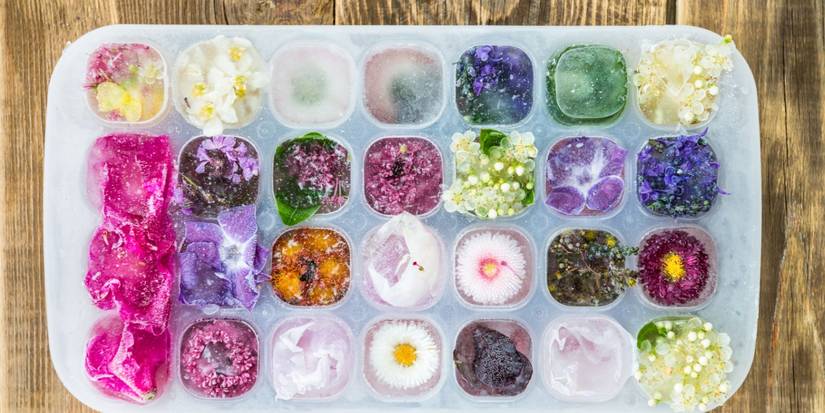 5 Creative Spring Flower Crafts to Transform Your Home Decor