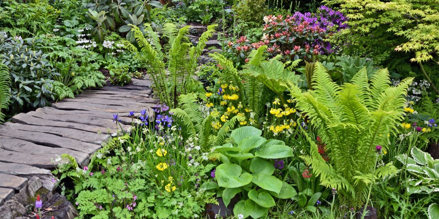 Ultimate Bog Garden Design: Nurturing Bog Plants and Attracting Wildlife