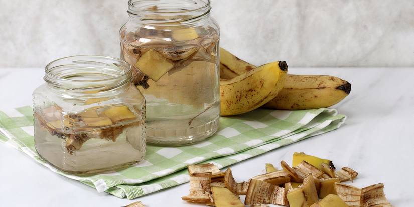 Fermentation Spring 7 Natural Spring Fertilizers You Can Make at Home
