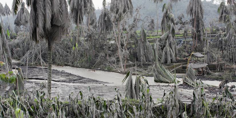 Ashfall Effects How Volcanic Ash Impacts Gardening and How to Prepare for Ashfall