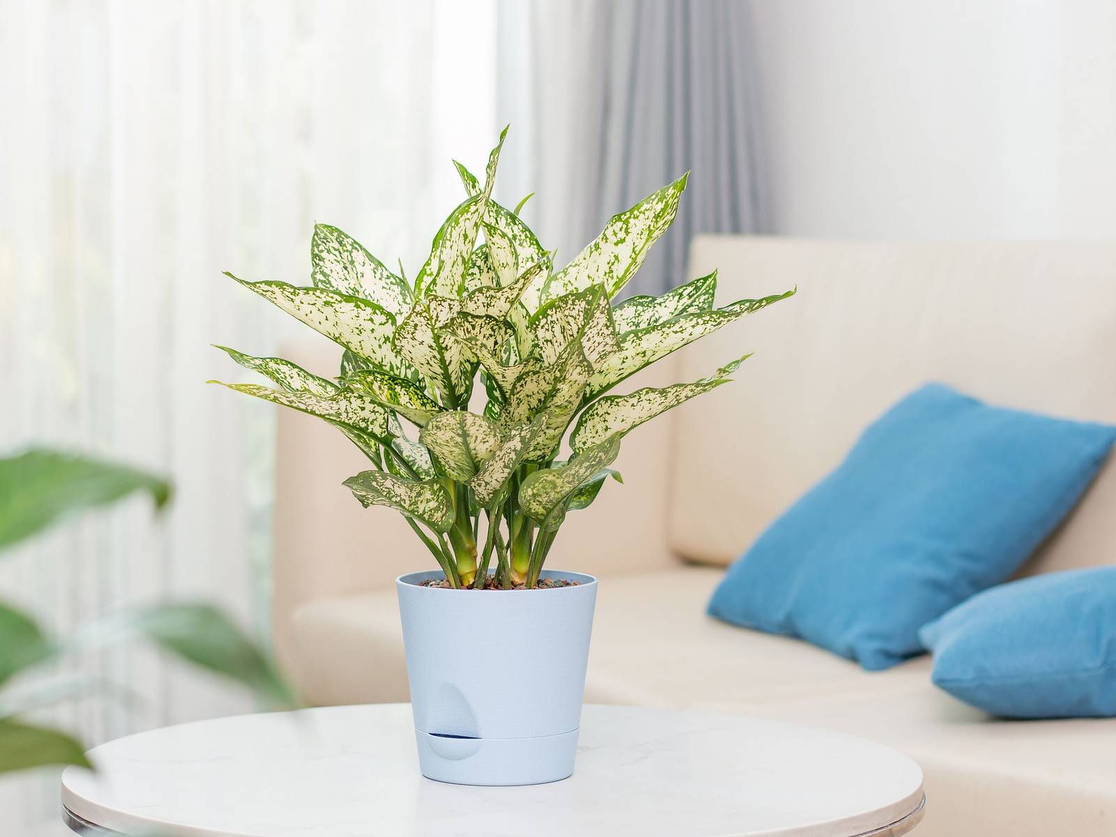 indoor decorative plant pots Gold Shiny Finished Rim Large Barrel Planter Pot, Indoor/outdoor Decorative Flower Pot 14"
