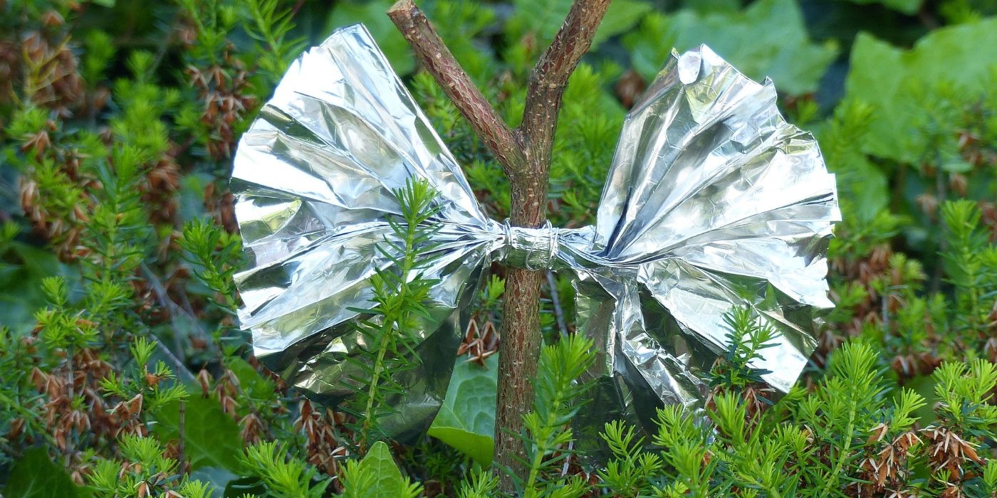 Aluminum Foil: A Natural Garden Pest Repellent That Really Works