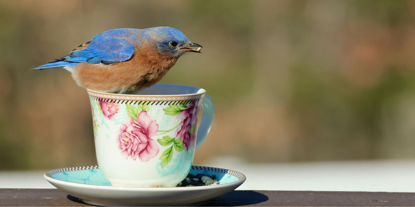 Eco-Friendly Spring Crafts for Beautiful Backyards