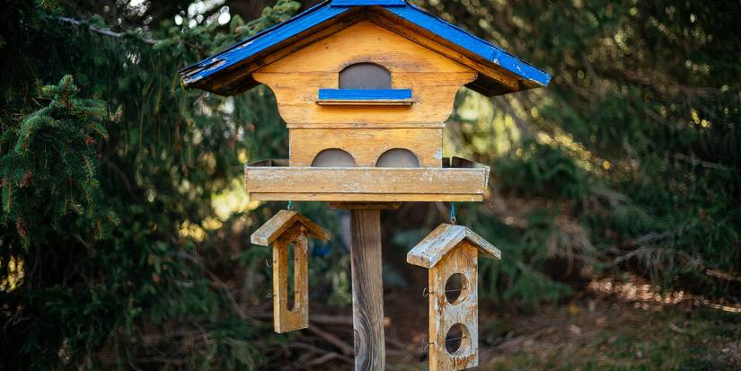 Explore Backyard Ideas for Attracting Birds with a Birdhouse Village