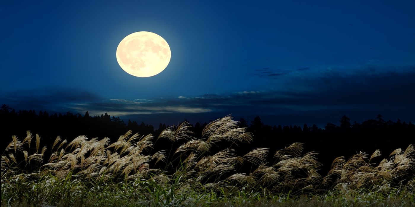 A Guide to Celebrating May's Lunar Beauty