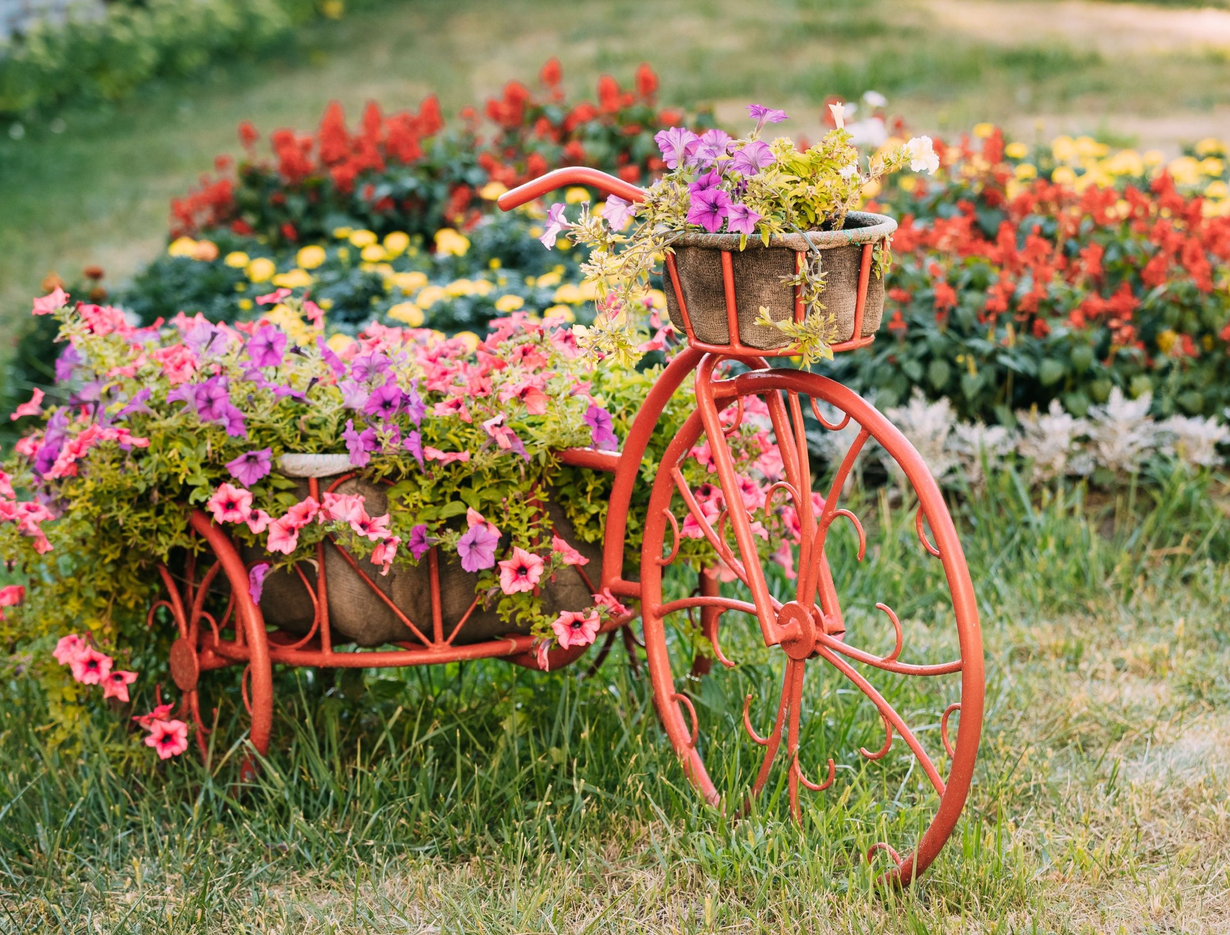 Give Your Garden a Nostalgic Makeover With Vintage Backyard Ideas