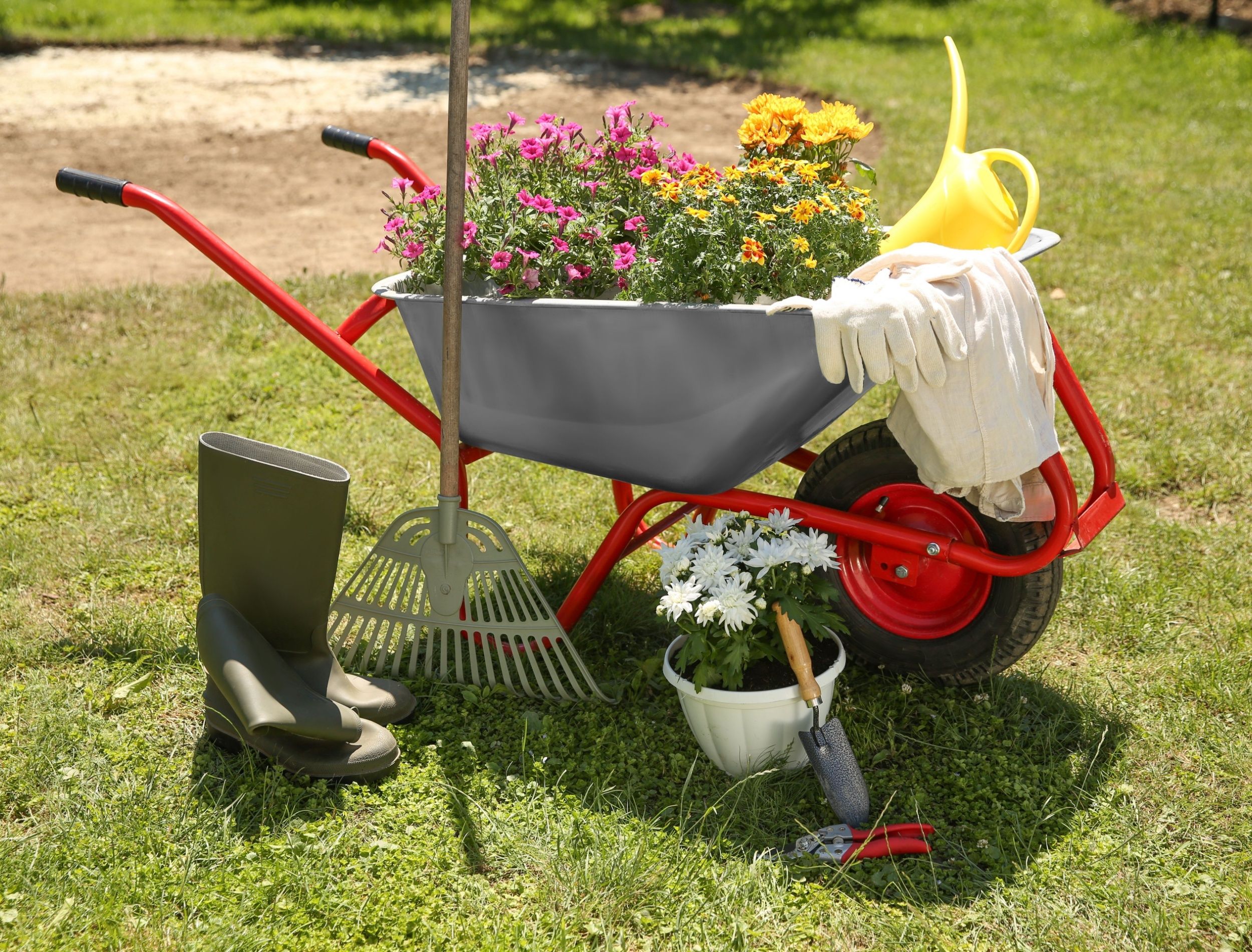 Garden Clearances