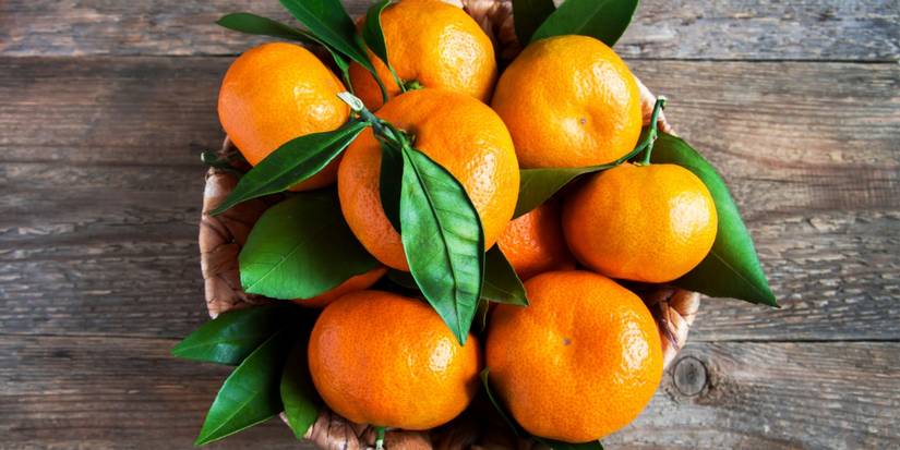 Basket of oranges with contrasting greenery 