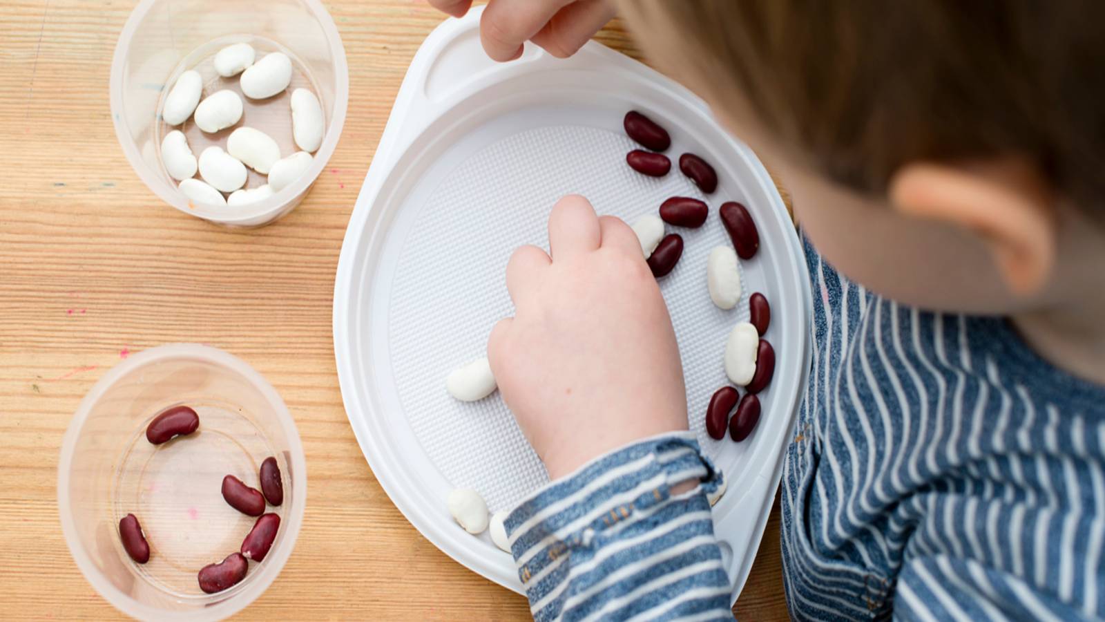 How to Transform Dried Beans Into Beautiful Projects