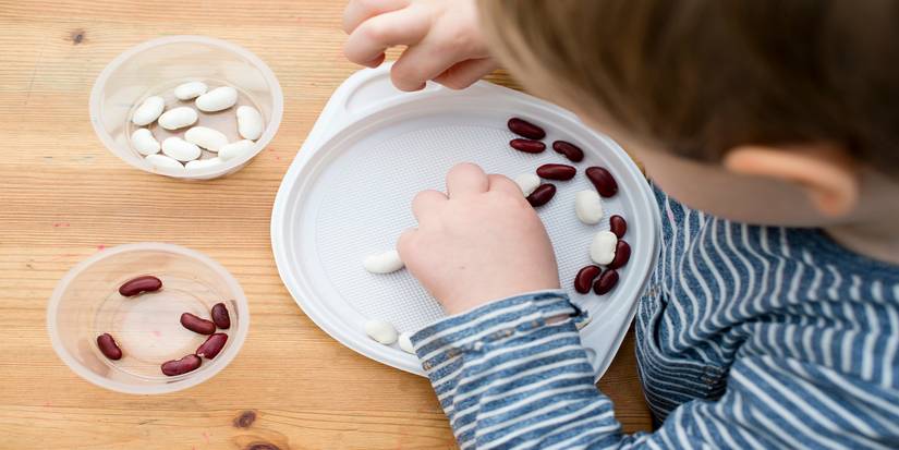 Sort Beans How to Transform Dried Beans Into Beautiful Projects