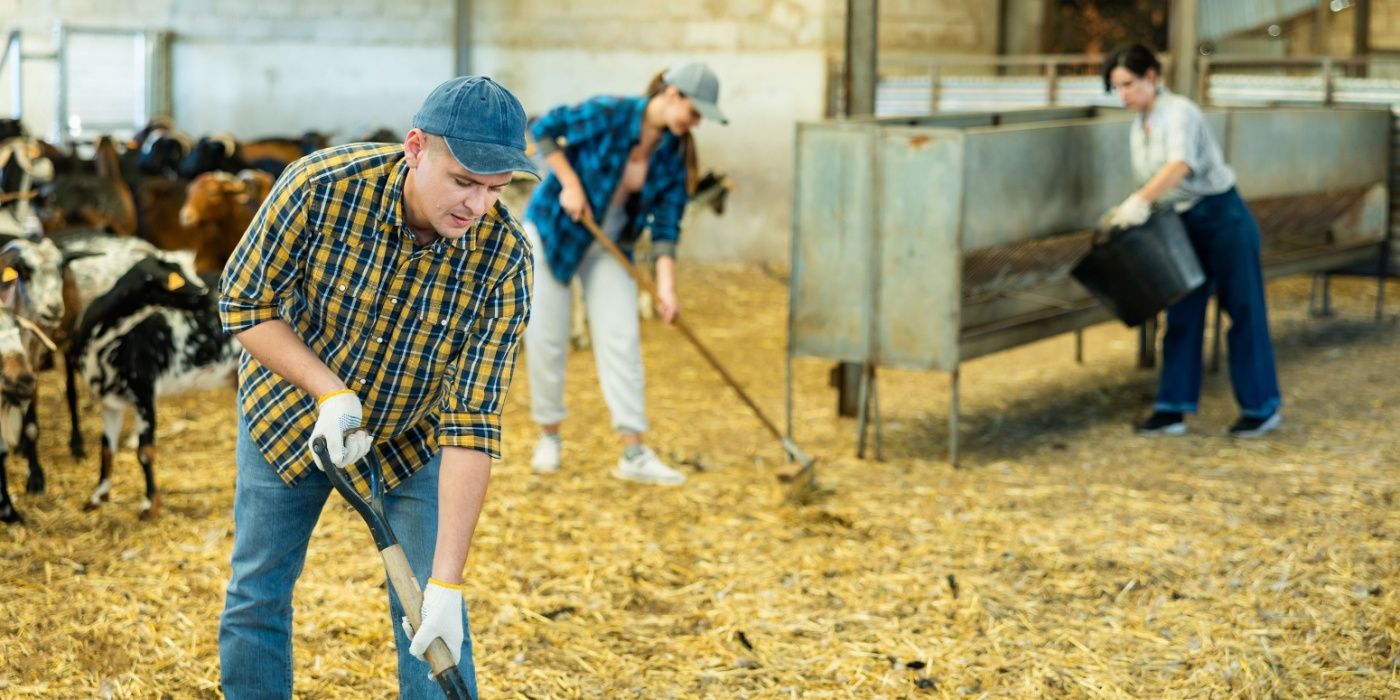 Raising Backyard Goats: What You Need to Know Before You Start