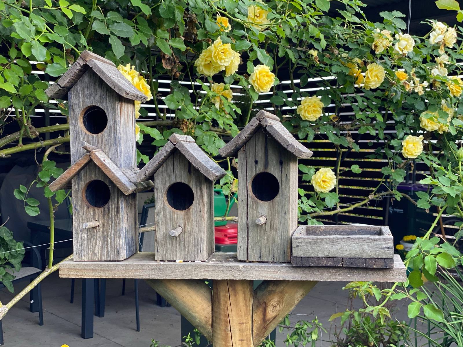 Garden Decor