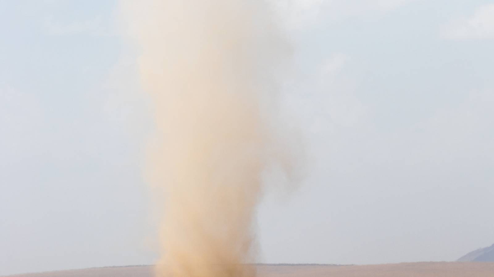 Devi Dust Gardening Trouble: Why Dust Devils Spin Through Your Yard