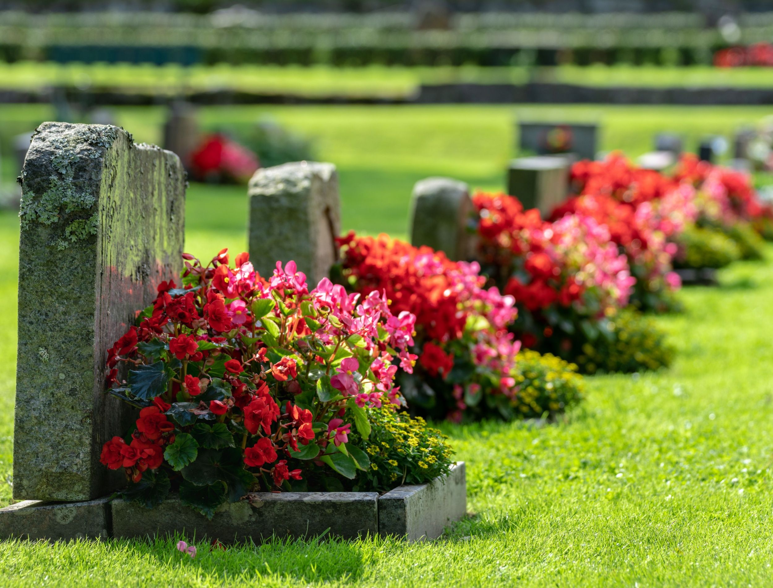 Philadelphia's Victorian Grave Gardens: Honoring Loved Ones with Flowers