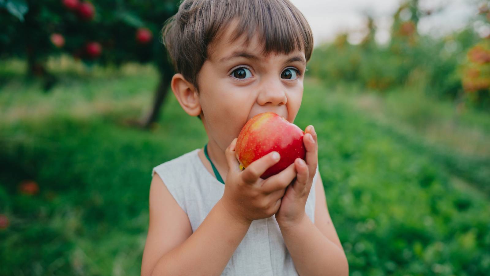 Is Overripe Fruit Safe to Eat? Signs, Risks, and Uses