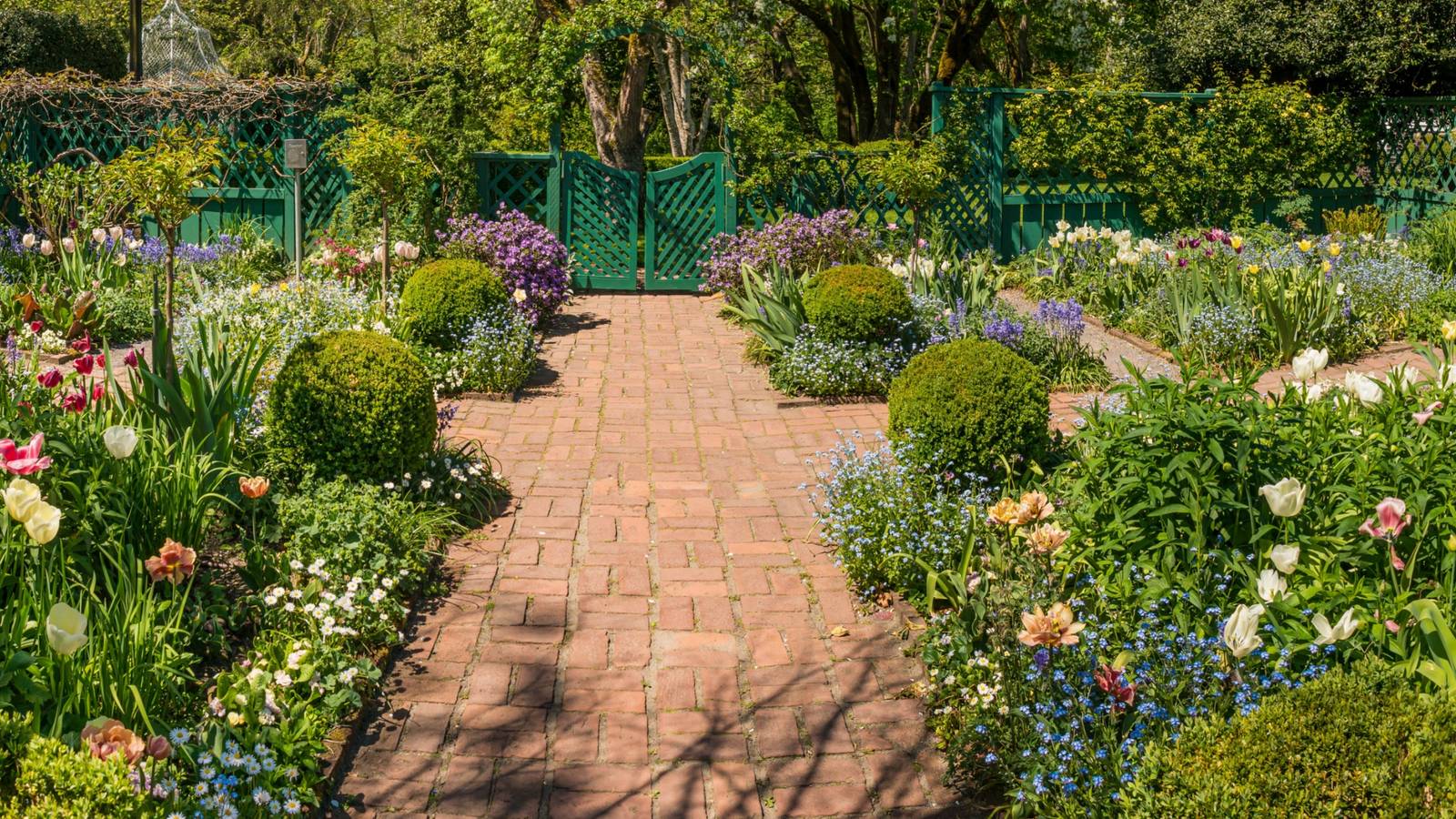 How to Design a Modern Home Garden with Style and Function, image size:1600x900