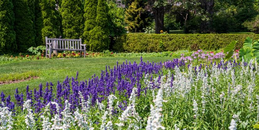 Discover 5 Breathtaking Free Botanical Gardens Across the US