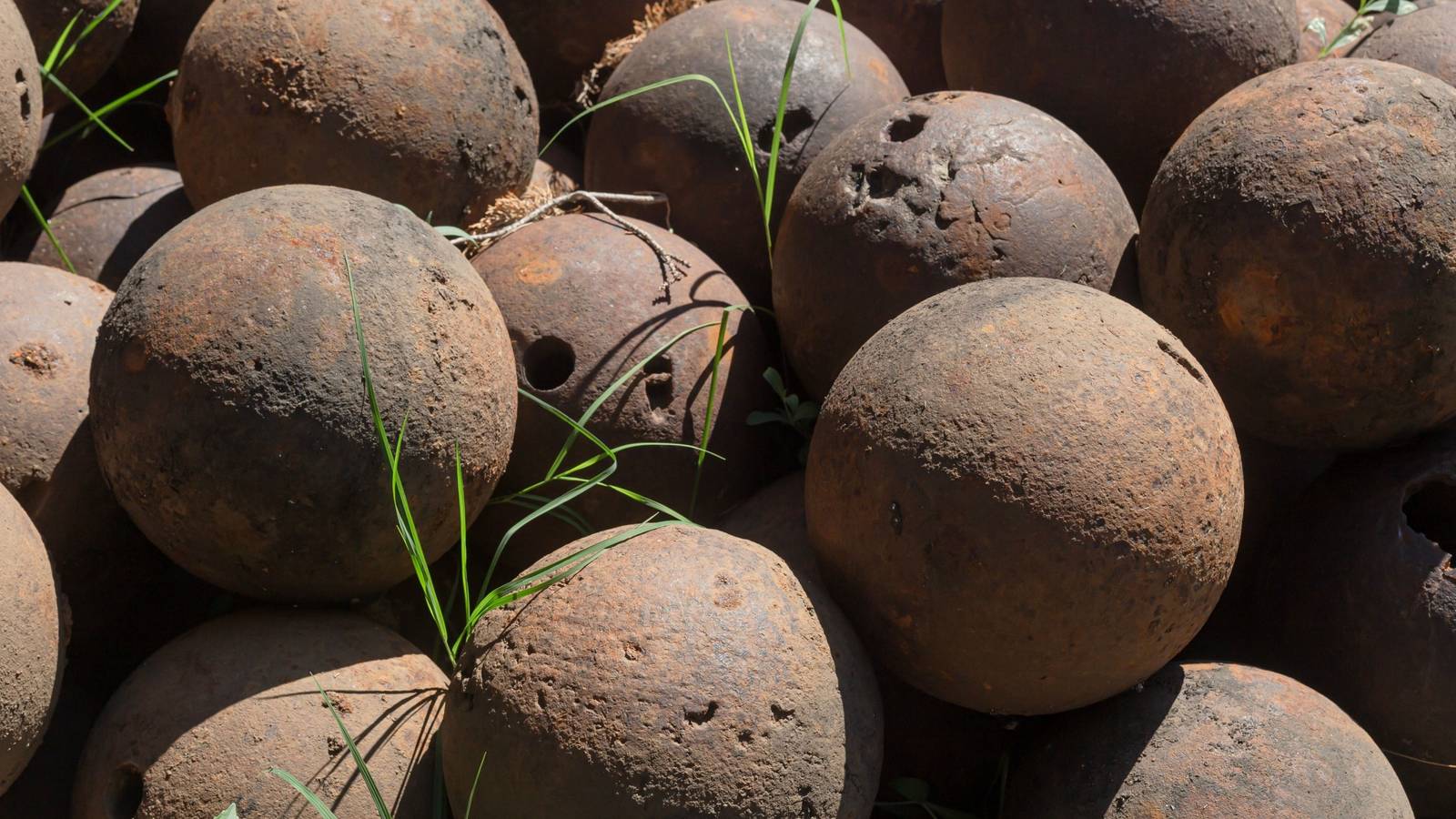 Buried Treasure: When Gardening Uncovers Hidden Dangers