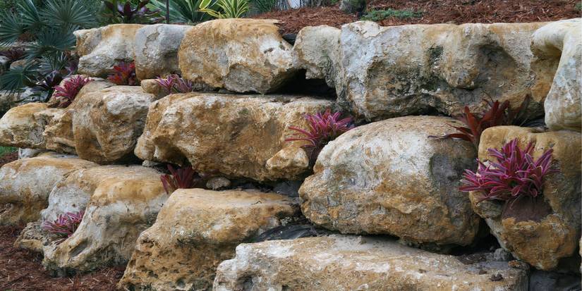 5 Budget-Friendly Landscaping Ideas for Maximum Impact