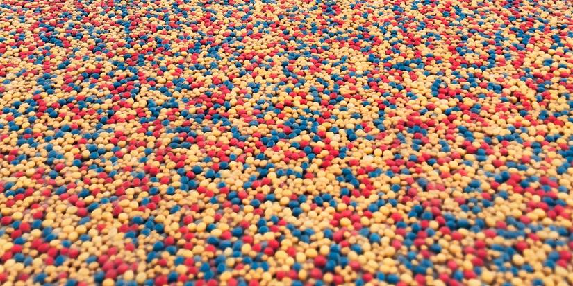 Why Rubber Mulch Harms Your Garden: The Hidden Risks Why Rubber Mulch Harms Your Garden: The Hidden Risks