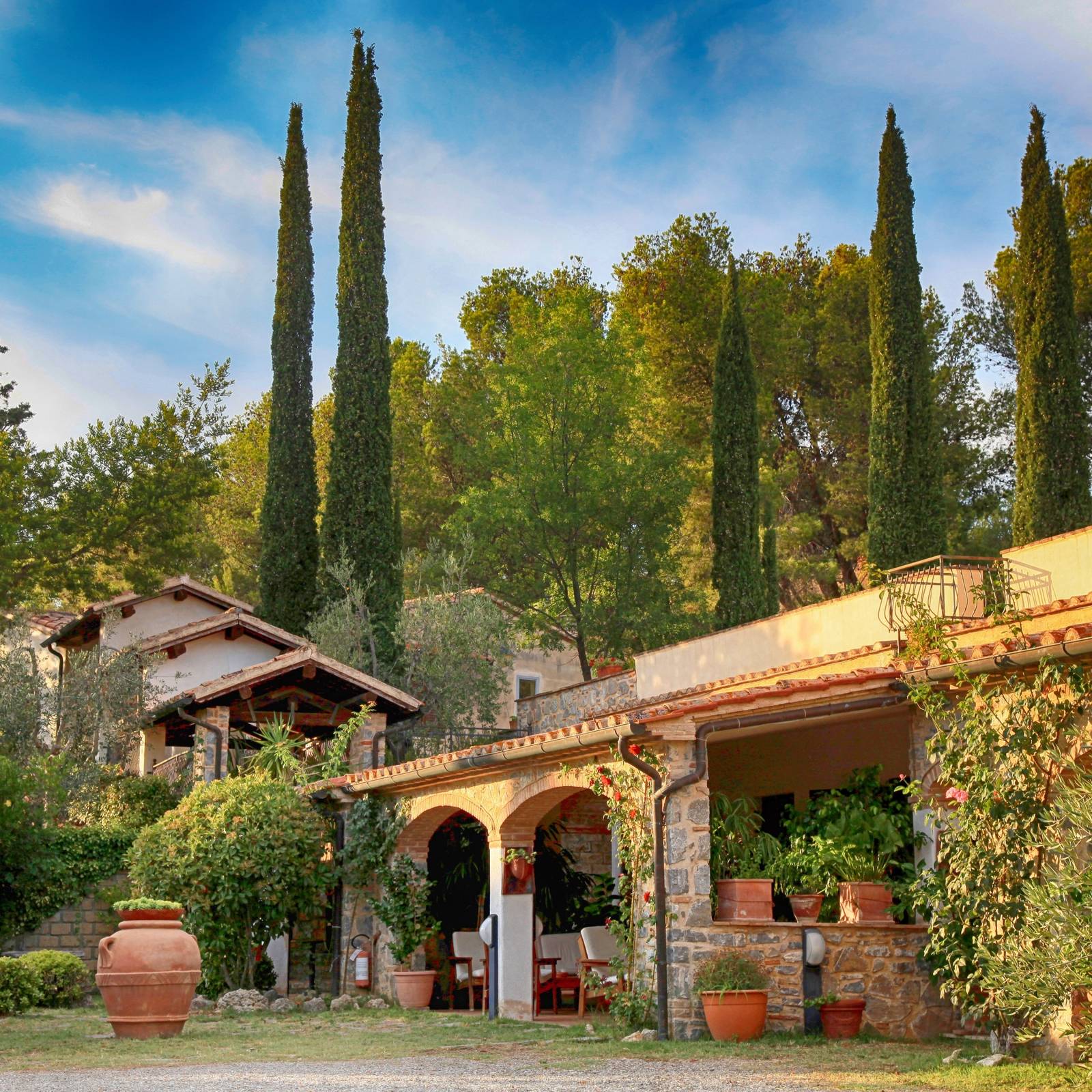 5 Essential Plants to Use for a Timeless Tuscan Garden, image size:1600x1600