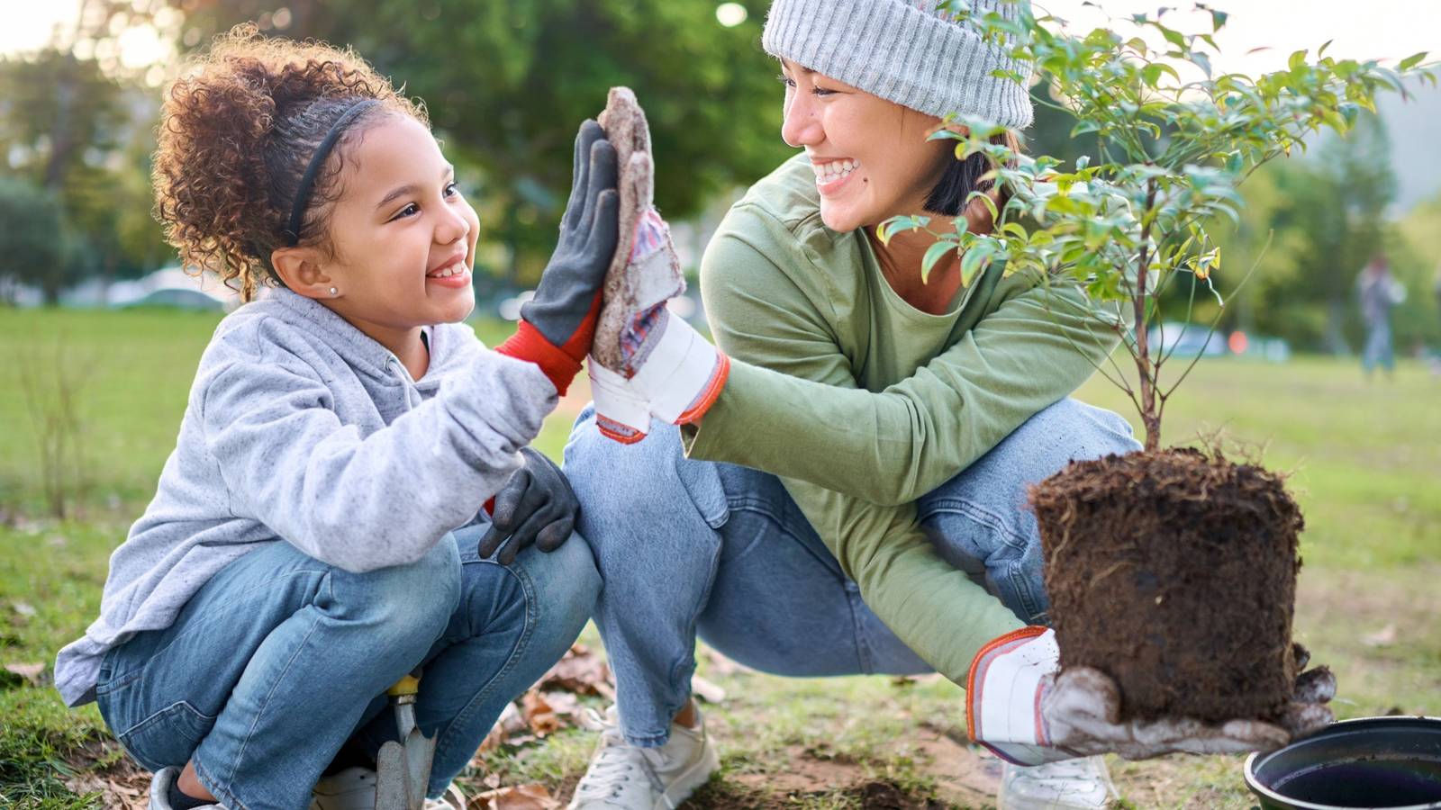 Garden Clubs: Where Green Thumbs Meet Big Ideas