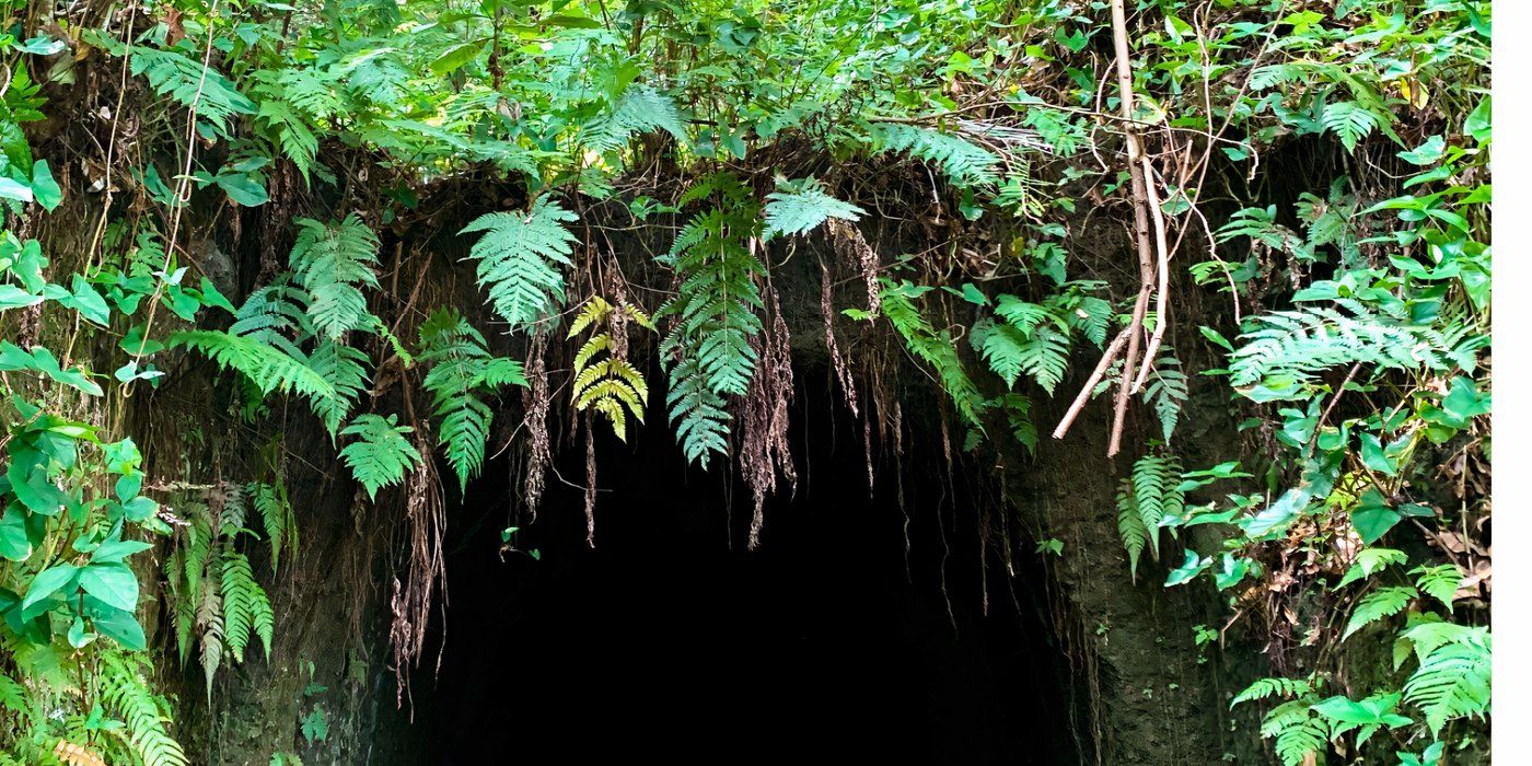 How to Carve a Primal Backyard Cave Retreat