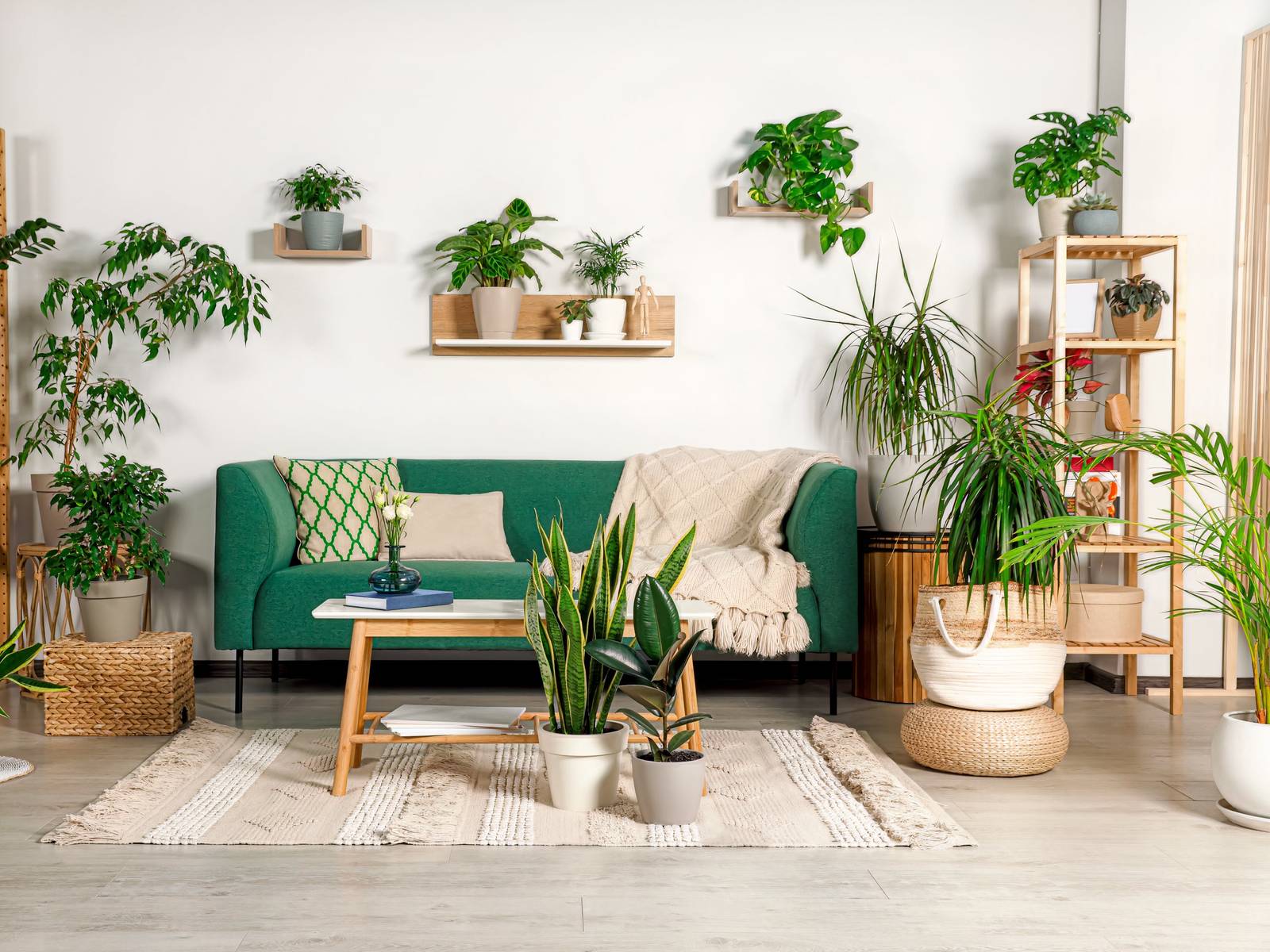 7 Stylish Ways to Incorporate Accent Plants into Your Home Decor