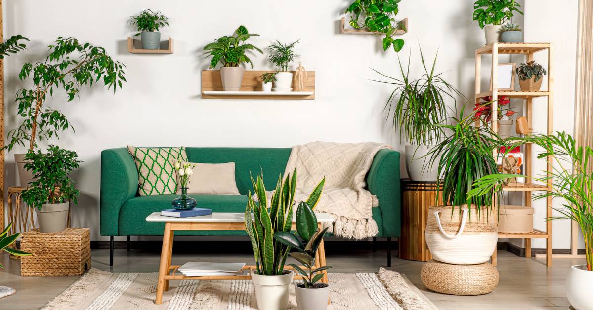 7 Stylish Ways to Incorporate Accent Plants into Your Home Decor