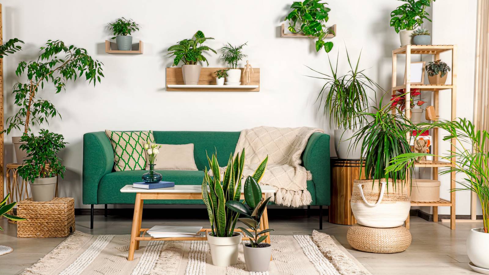 7 Stylish Ways to Incorporate Accent Plants into Your Home Decor