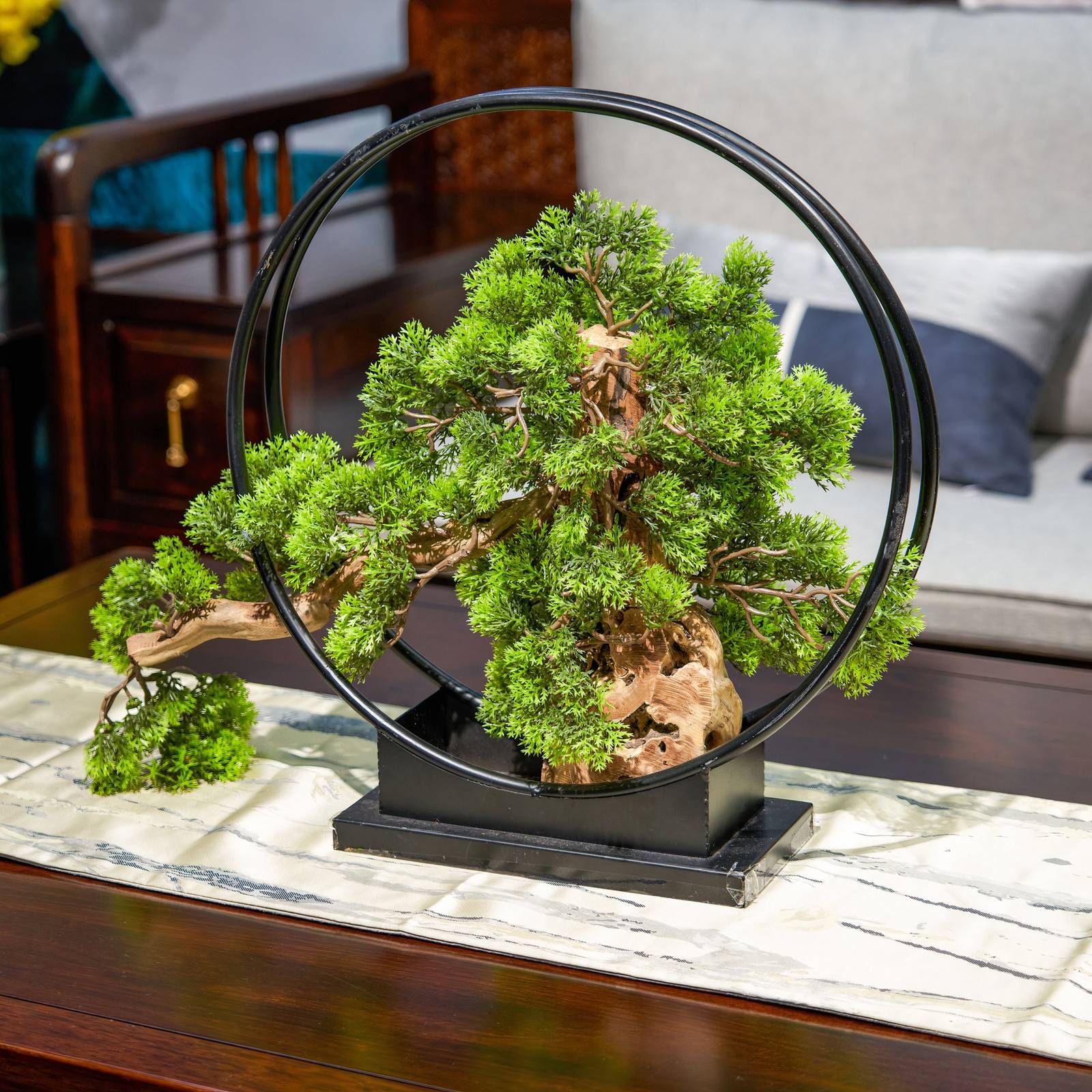 devils backbone plant Air-Purifying Devil's Backbone Succulent. Great Houseplant, Easy to Care  For main image 0