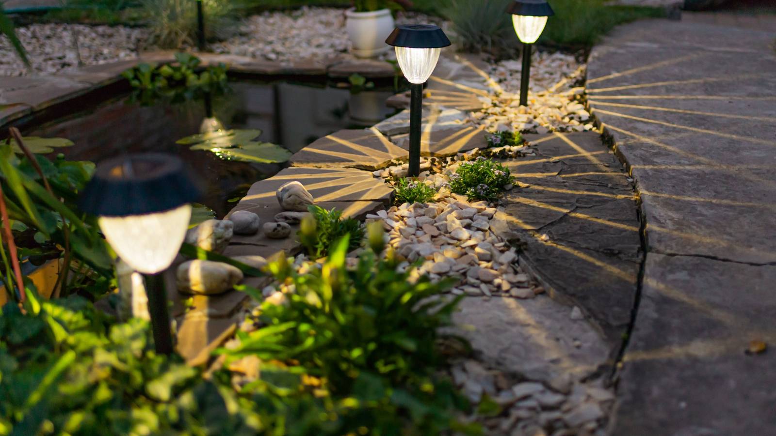 How to Use Garden Lights Without Harming Plant Health