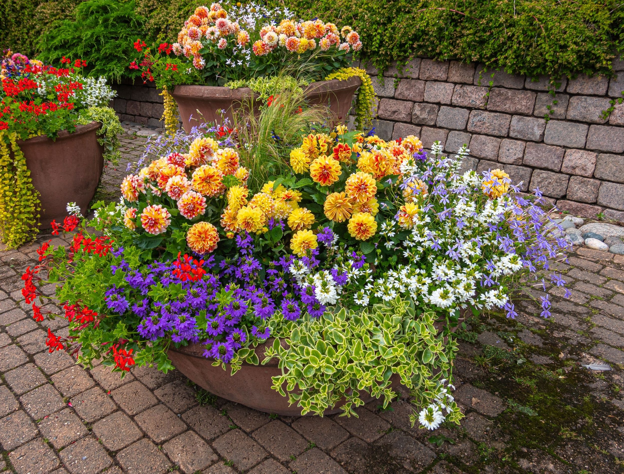 The Container Gardening Rule of Thumb: Thriller, Filler, Spiller Method