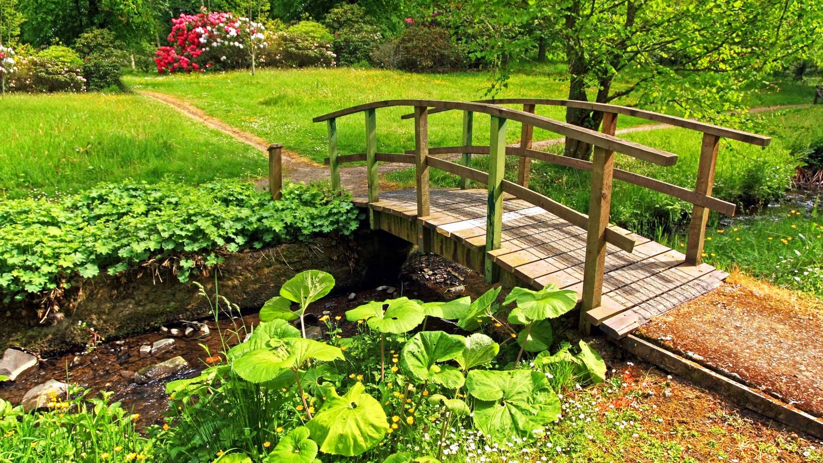 Smart Ways to Add a Garden Bridge for Style and Function