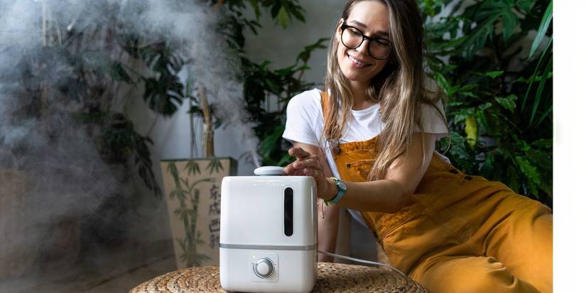 Hands-Off Indoor Plant Care: 6 Smart Strategies for Healthy Houseplants