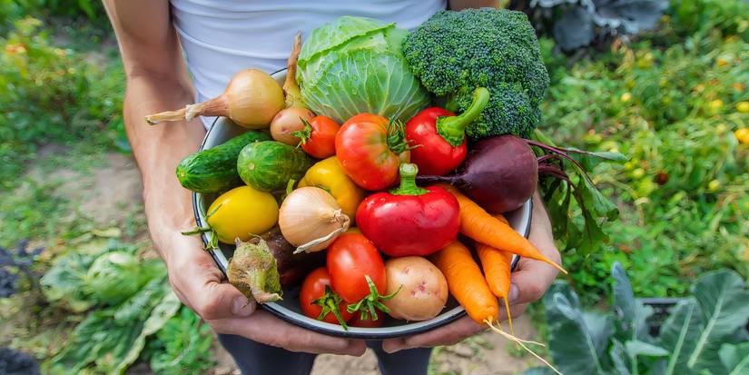 Image showcasing Mastering the Art of Harvesting: Tips for a Bountiful Garden