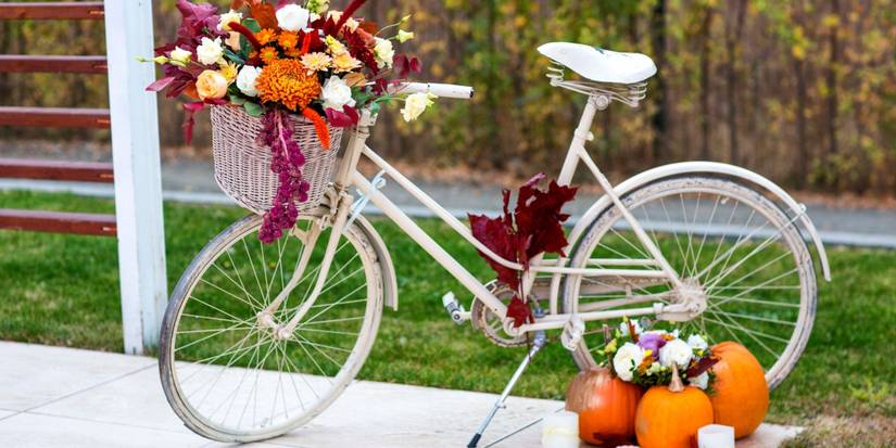 Creative Ways to Use an Old Bicycle in Your Garden Design