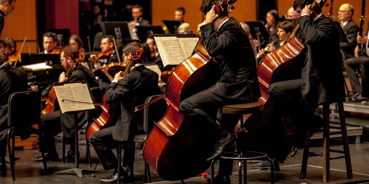 Rare Trees: The Soul of Musical Instruments
