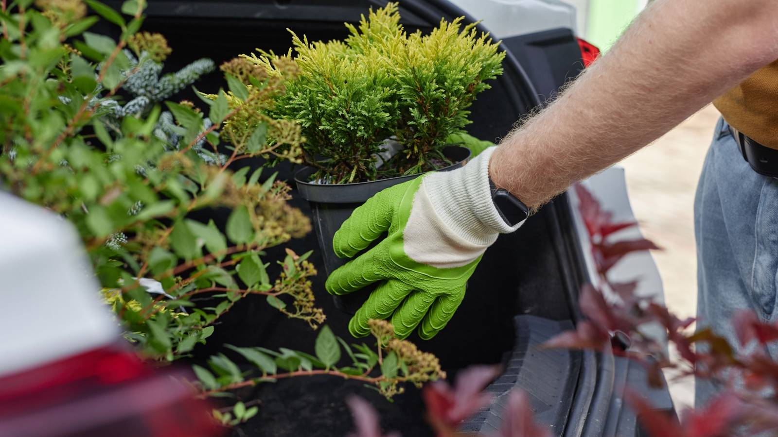 How to Protect Your Yard from Landscape Theft and Outdoor Robbery